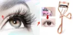 🎅2025 New Eyelash curler with brush Makeup Tools