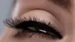🎅2025 New Eyelash curler with brush Makeup Tools