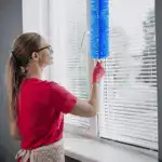 Fan Dusting Brush
