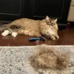 Pet Grooming Brush – Double Sided Shedding And Dematting Undercoat Rake Comb