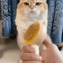 Pet massage brush image