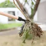 Detachable Stand Up Weed Puller - Image 4