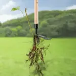 Detachable Stand Up Weed Puller - Image 5